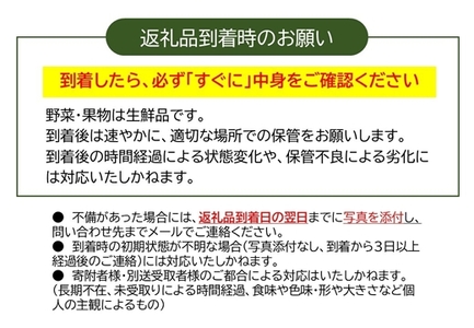 長野県産りんご『あいかの香り』 家庭用 約5kg（10～23玉入）〈2025年11月出荷／沖縄・離島は配送不可〉信州 果物 旬彩 先行予約 期間限定 国産 【 フルーツ 長野県 佐久市 】