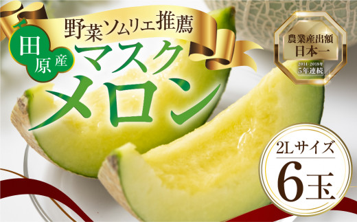 2027年先行予約 【8月中お届け】数量限定 野菜ソムリエ推薦渥美半島伊良湖潮風育ち厳選マスクメロン6玉(8～9キロ)小分け用ギフト箱1箱付き  田原市 伊良湖産 ギフト プレゼント お取り寄せ 渥美半島 農家直送 送料無料