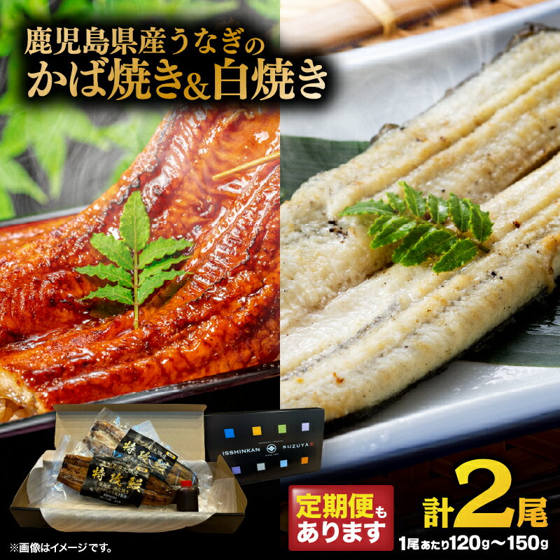 【ふるさと納税】＜選べる回数＞鹿児島県産 うなぎのかば焼き 1尾 白焼き 1尾 定期便 ウナギ 鰻 蒲焼き うな丼 鰻丼 うな重 鰻重 ちらし寿司 ひつまぶし わさび醤油 湯煎 冷凍 老舗 セット 一心館 鹿児島 鹿屋市 おすすめ ランキング プレゼント ギフト