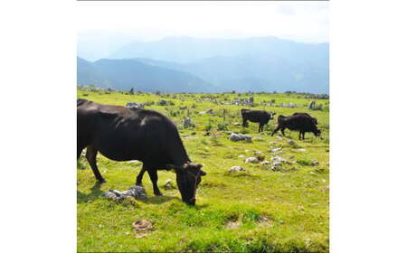～四国一小さなまち～ うまと屋ハンバーグ4個(150g×4個）和牛100% 牛 牛肉 肉 お肉 和牛 土佐和牛 土佐黒牛 おかず 惣菜 ジューシー おいしい 国産 真空パック お取り寄せ