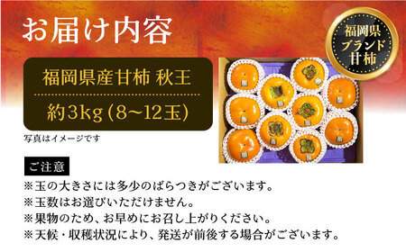 秋王 (あきおう) 柿 3kg 箱 (8-12玉)《豊前市》【南国フルーツ】柿 果物 フルーツ [VBY007]