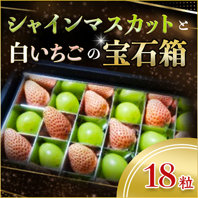 
            シャインマスカットと白いちごの宝石箱18粒(県内共通返礼品:石岡市産) (BR027)
          