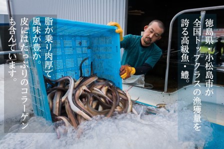 定期便 3回 鱧 ハモ しゃぶしゃぶ セット 3ヵ月 冷凍 国産 お鍋 おかず ( 大人気鱧 人気鱧 絶品鱧 冷凍鱧 国産鱧 徳島県産鱧 徳島県鱧 おかず鱧 しゃぶしゃぶ鱧 天ぷら鱧 大人気ハモ 人気