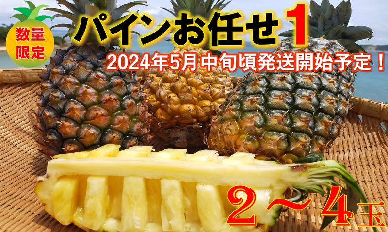 
東村産パインアップルお任せセット１(2～4個)　【2024年発送】
