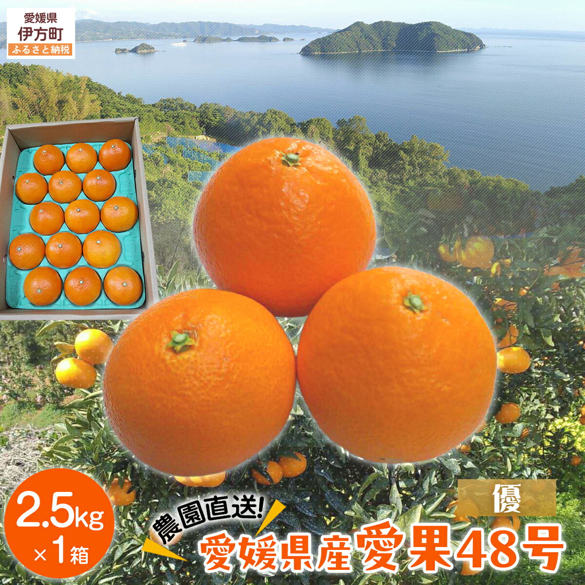 【ふるさと納税】【先行予約】【数量限定】【優】＼農園直送／愛媛県産愛果48号 約2.5kg（2026年2月下旬より順次発送） 【ふるさと納税 人気 おすすめ ランキング 柑橘 みかん ミカン 蜜柑 愛果48号 果物 フルーツ 産地直送 農園直送 岡市農園 愛媛県産 愛媛県 】 IKTV012