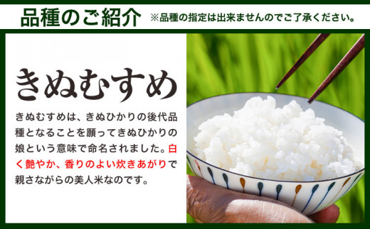 米 お米【令和8年6月発送】米 令和7年産 15kg ふるさと米 備中笠岡 人気品種をお届け！ 国産 ヒノヒカリ にこまる きぬむすめ お米 ブランド米 ふっくら ハリ おにぎり 弁当 単一原料米 検