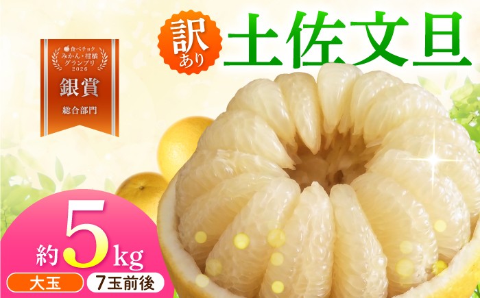 
                  【先行予約】文旦 家庭用大玉 5キロ 5kg（3L～上限なし：7玉前後）〈2027年1月20日～発送〉皮むき器付き 文旦 ぶんたん 土佐 柑橘 高知県産 フルーツ お取り寄せ 訳あり 先行予約 高知県 土佐市【土佐水谷農園】[BQBD008]
                