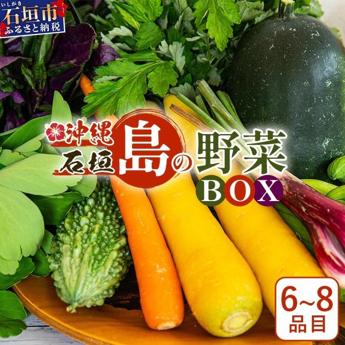 ふるさと納税 石垣市 沖縄県石垣島産新鮮やさいBOX 【 島の野菜 詰め合わせセット】1箱(定番・旬のお野菜6~8種類)