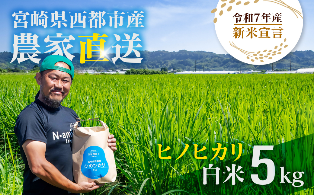 【令和7年産新米・先行予約】ヒノヒカリ 5kg ※10月中旬以降順次発送予定 精米済み ＜1.3-23＞ 新米 ヒノヒカリ お米 精米 5キロ 米 ライス 宮崎県 西都市