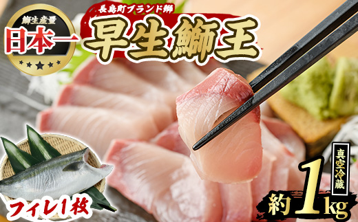 ぶりの王様 「 鰤王 」早生 鰤王フィレ (約1.0kg・フィレ1枚) 産地直送 新鮮 旨味が抜群の 長島町 特産品 ブランド ぶり 鰤 ブリ 切り身 真空 冷蔵 刺身 ぶりしゃぶ しゃぶしゃぶ 魚 