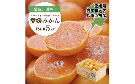 西宇和地区八幡浜産 愛媛みかん5kg＜訳あり＞＜C25-176＞【1606088】 YWTAP117