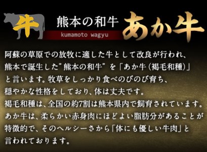 あか牛 上赤身焼肉用 1kg (250g×4個) 有限会社白水乃蔵《60日以内に出荷予定(土日祝除く)》 あかうし 赤牛 焼肉 冷凍 小分けパック