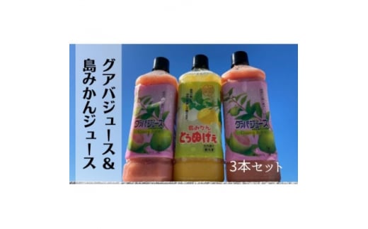 グァバ&島みかんジュース　3本セット【1407859】