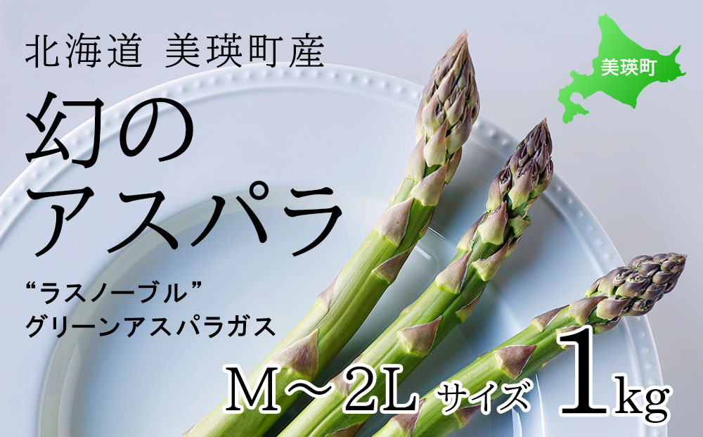 
            【先行予約】 幻のアスパラ M～2Lサイズ 1kg ラスノーブル <令和7年産 > 北海道 美瑛町 本山農場 グリーンアスパラ  | グリーン アスパラガス アスパラ あすぱら あすぱらがす 採れたて 新鮮 旬 産地直送 野菜[012-163]
          