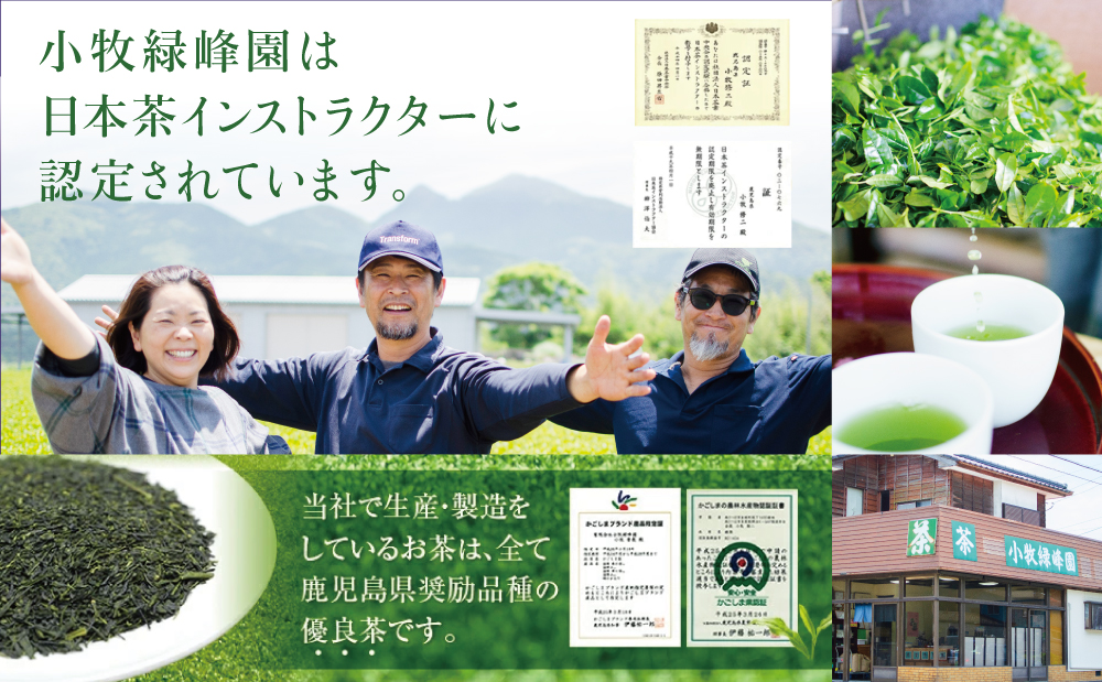 【鹿児島県産】特撰深蒸し茶「峰の誉」3本セット