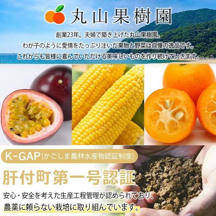 【ふるなびWEEK対象】【A68002】期間限定 鹿児島県産 パッションフルーツ 約2.2kg 12玉入り2箱【丸山果樹園】