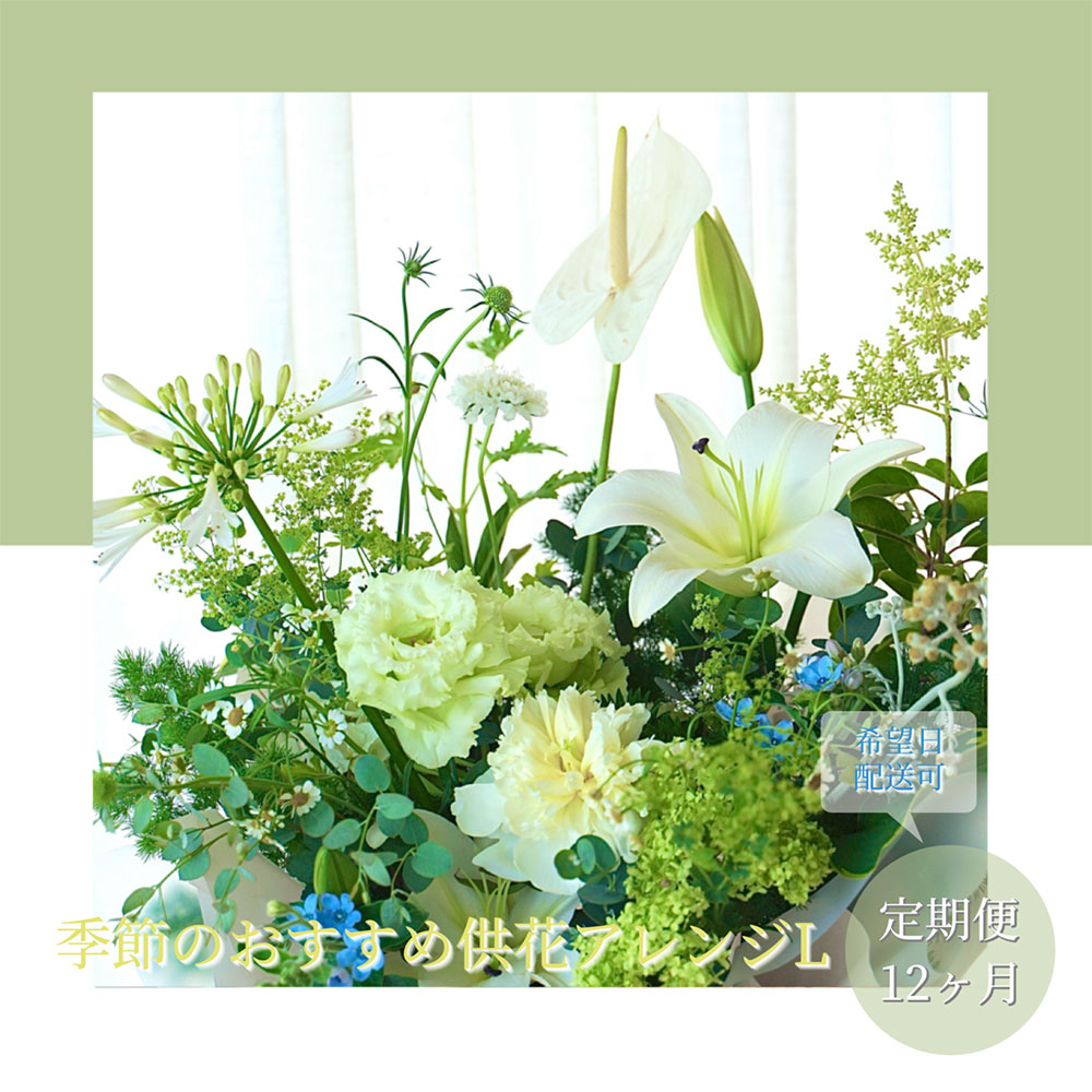 【CF-R5cbs】t177tmf　《12ヵ月定期便》生花アレンジ お供え 供花L 定期便 定期コース 全12回 フラワーアレンジメント そのまま飾れる お供え 花束 生花 仏花 供花 花束 花 法要 お盆 季節のお花 供花 お供え<br>