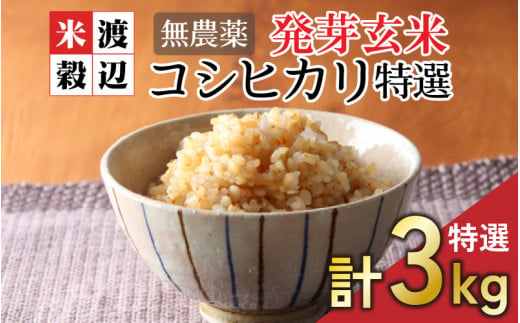 無農薬 福井県産 コシヒカリ特選 真空パック 3kg ～玄米以上の栄養価と白米に近い柔らかさ～