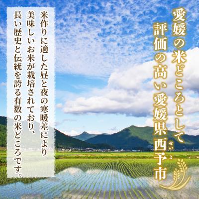 ふるさと納税 西予市 <令和7年産 西予市産 にこまる 精米 約10kg宇都宮米穀 ニコマル お米 米 |  | 01