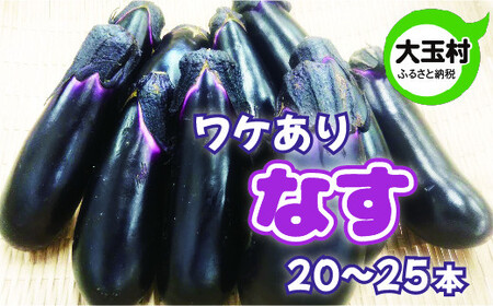 ナス 訳あり 野菜 20本～25本 もったいない野菜 数量限定
