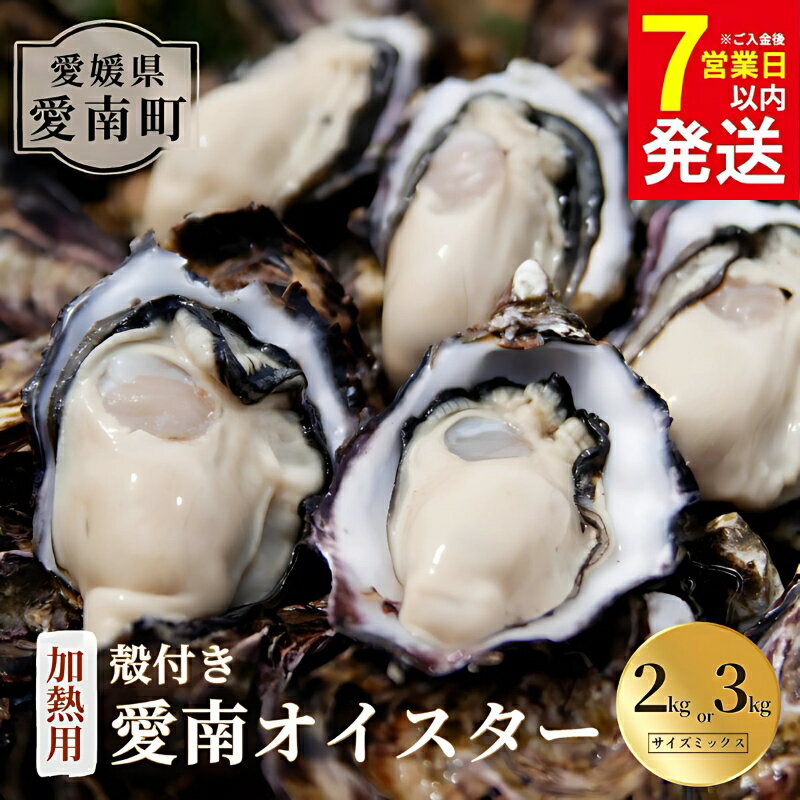 【ふるさと納税】 選べる内容量 愛南 オイスター 2kg 3kg 2025年7月 上旬以降発送 牡蠣 加熱用 殻付き 三倍体 真牡蠣 ブランド 特産品 お取り寄せ グルメ 大粒 新鮮 ご褒美 かき パスタ アヒージョ まがき 夏 産地 直送 愛南漁業協同組合 御荘支所 愛媛県 愛南町