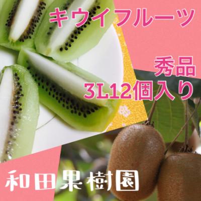 ふるさと納税 紀の川市 和田果樹園の秀品　紀の川市産キウイフルーツ　ヘイワード12個入り　3Lサイズ