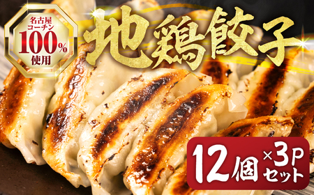名古屋コーチン餃子 36個 (12個入×3パック) 餃子 餃子