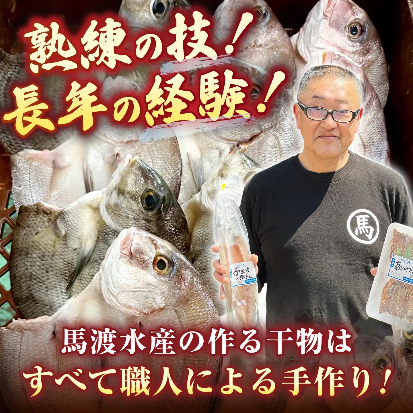 【ふるなびWEEK対象】【訳あり】 干物 セット [JAQ009] 訳あり 干物