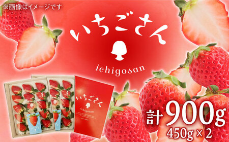 【2026年発送分 先行予約】いちごさん（450g×2パック） / フルーツ / 佐賀県 / JAからつ 唐津うまかもん市場 [41ABCA002]