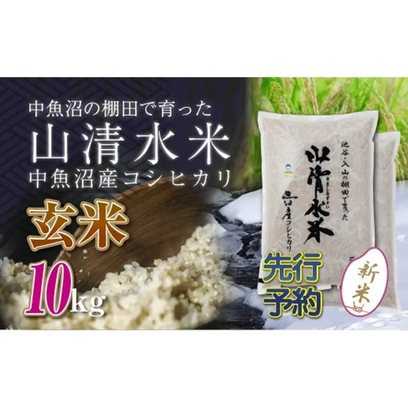 【令和8年産 先行予約】新潟県魚沼産コシヒカリ「山清水米」玄米10kg