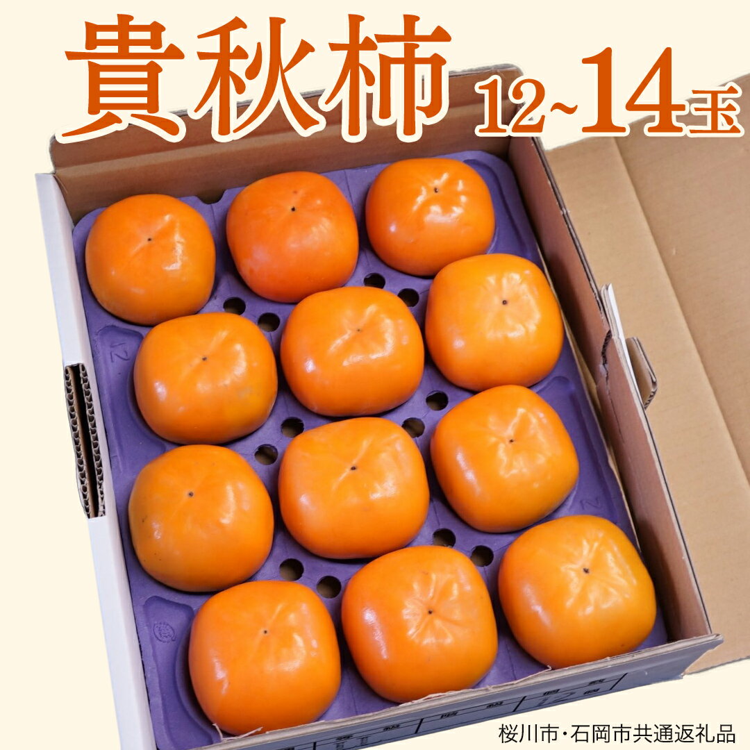 【ふるさと納税】貴秋柿 12〜14玉 (桜川市・石岡市共通返礼品) 果物 くだもの フルーツ 柿 かき 2026年11月上旬以降発送
