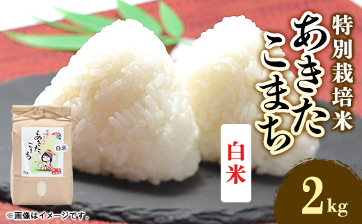 令和7年産　特別栽培米あきたこまち　白米2kg【配送不可地域：離島・沖縄県】