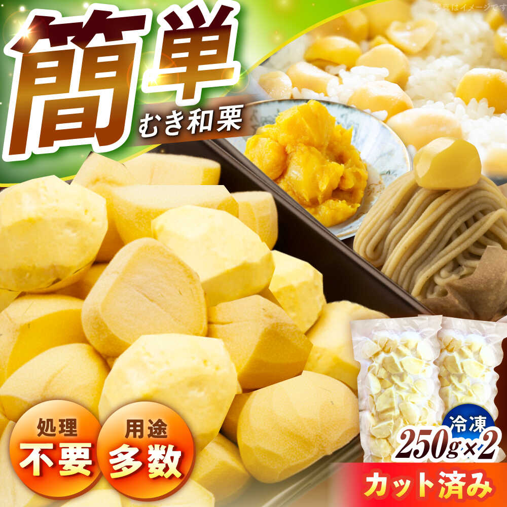 【ふるさと納税】冷凍むき栗「日本栗」 カット500g（250g×2P）/ 栗 冷凍 生栗 くり むき栗 マロン 低温熟成 日本栗 国産 和栗 岐阜県産 恵那市産 産地直送 送料無料 お取り寄せ ギフト 贈答 / 恵那市 / えな笠置山栗園[AUAV006]