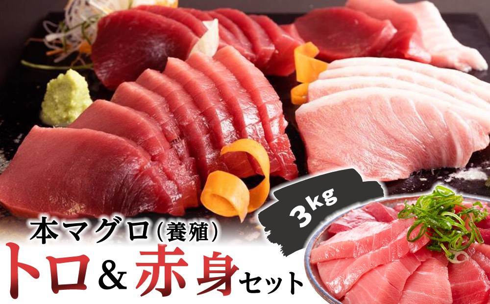 
                  本マグロ（養殖）トロ＆赤身セット　3kg［KS14］｜和歌山県 那智勝浦町まぐろ マグロ 鮪 maguro 本まぐろ  本マグロ 刺身 刺し身 お刺身 国産まぐろトロ 赤身 人気 魚 魚介
                