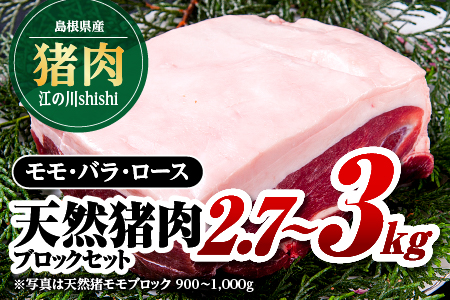 江の川shishi ブロックセット 2.7kg～3kg【AI-3】｜送料無料 国産 ジビエ 天然ジビエ お肉 肉 いのしし肉 イノシシ肉 猪肉 ジビエ イノシシ ジビエ イノシシ ジビエ イノシシ ジビエ イノシシ ジビエ イノシシ ジビエ イノシシ ジビエ イノシシ ジビエ モモ バラ ロース ブロック肉 ブロック ブロックセット セット スジ無し 煮込み用 角煮 焼肉 焼き肉  BBQ 冷凍 希少｜