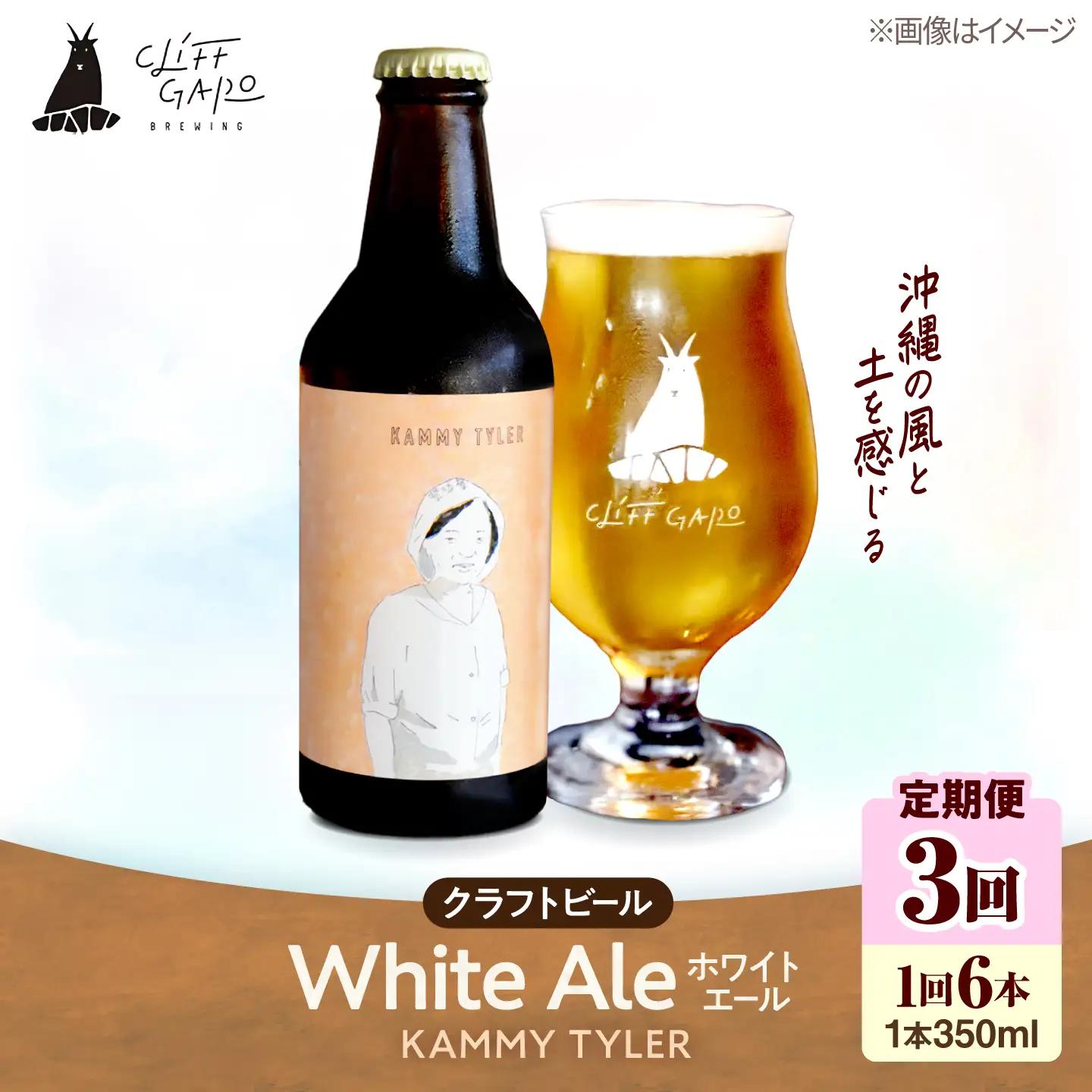 【全3回定期便】-CLIFF BEER- KAMMY TYLER  (ホワイトエール) 6本入り ビール クラフトビール 350ml 飲み比べ ギフト 沖縄市 / 株式会社クリフクラフト[BCDS014]