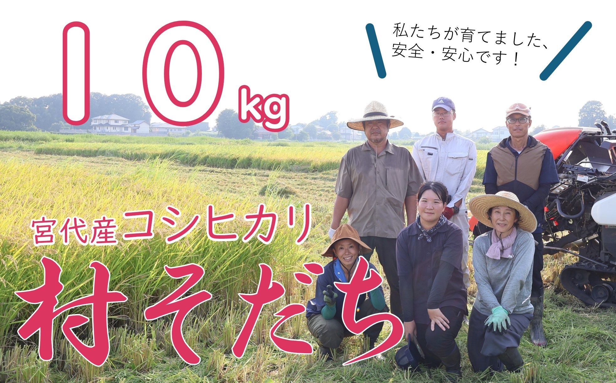 
            【宮代町】新しい村で育てた  コシヒカリ「村そだち」令和７年産新米   １０ｋｇ
          