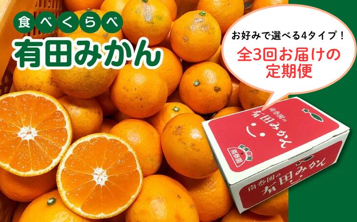 【ふるさと納税】 定期便 【みかん三昧】 有田みかん ・ 食べくらべ3種 / フルーツ 果物 蜜柑 ミカン みかん定期便 柑橘定期便 オレンジ 有田産 和歌山産 産地直送 ※着日指定不可 ※10月中旬〜翌年1月下旬に順次発送予定