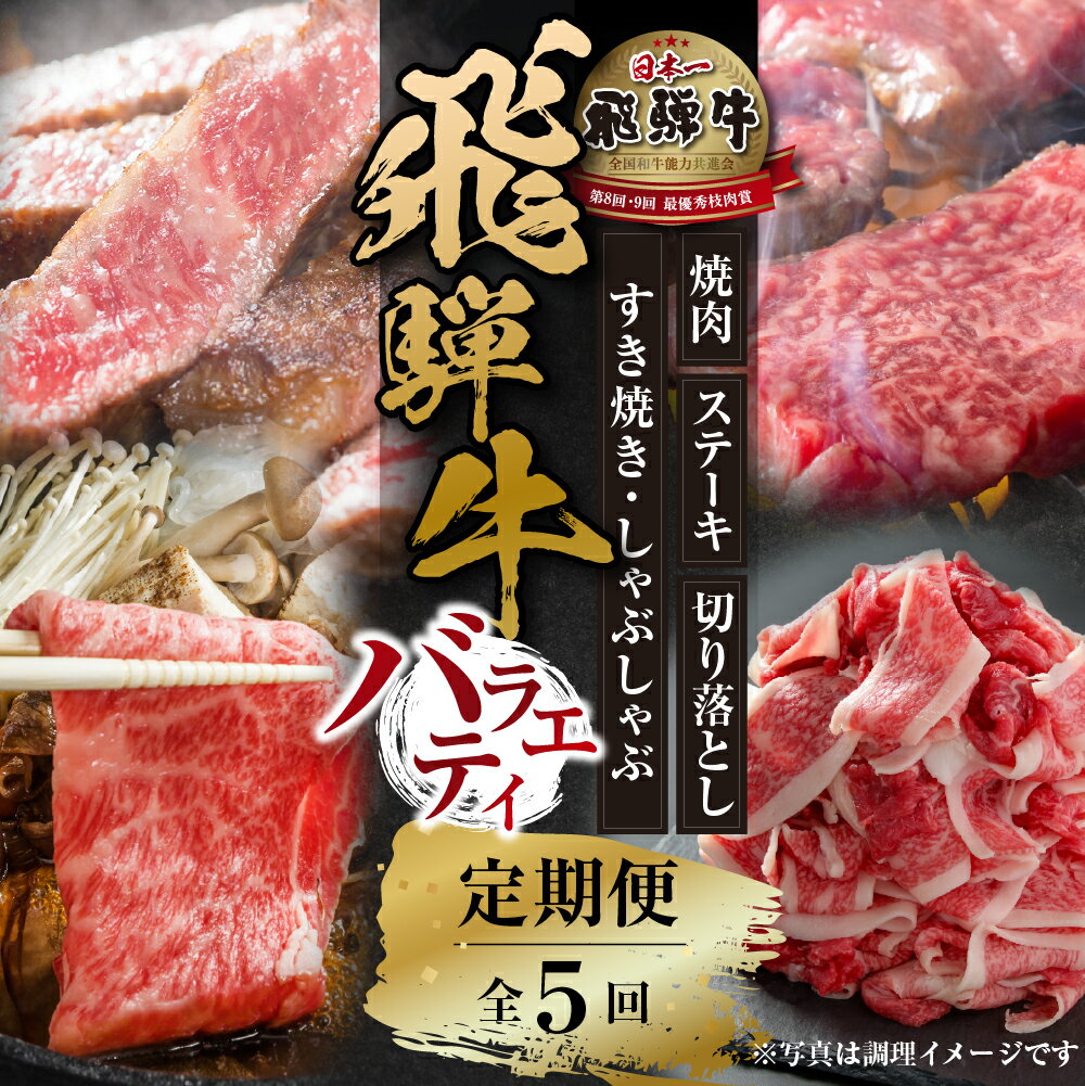 【ふるさと納税】《定期便》全5回 飛騨牛 バラエティ（ステーキ /焼肉 / すき焼き/切り落とし）[飛騨高山ミート] [MZ104]