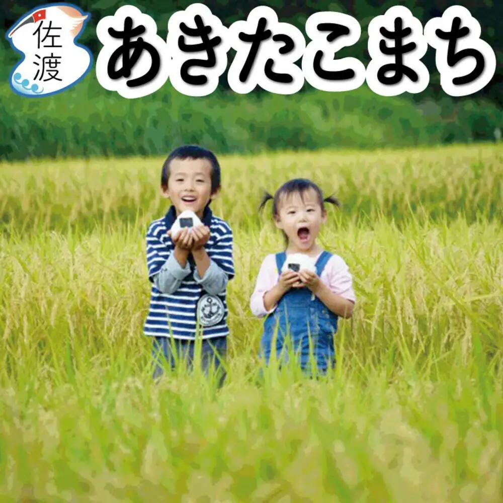 あきたこまち 10kg 白米 令和7年産 | 新潟県 佐渡市 白米