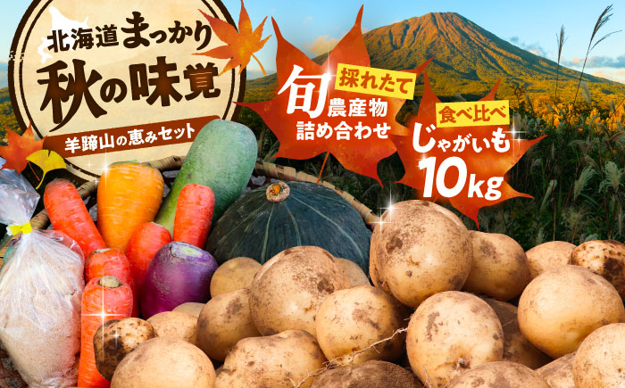 【2026年11月下旬以降発送】 秋の味覚セット（大）（じゃがいも10kg・旬の農産物詰め合わせ） | 野菜セット 野菜 じゃがいも 詰め合わせ 旬の野菜 セット 食べ比べ 北海道 | 道の駅 真狩フ