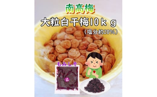 紀州南高梅　ほんまもんの梅干し（塩分20％） 秀品　L,2L,3Lサイズいずれか　10kg樽  2樽+もみしそ（750g） / 田辺市 紀州南高梅 南高梅 梅干 梅 しそ 秀品 樽入り 和歌山 樽漬け