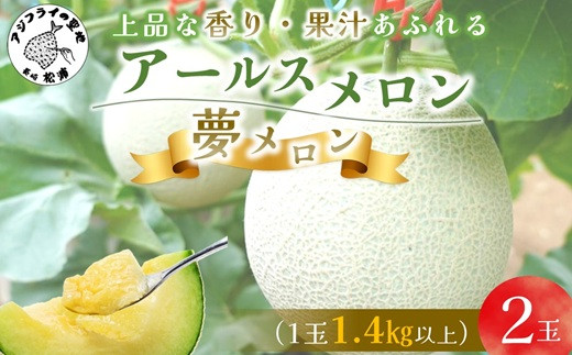 
                  1.4㎏以上！大玉アールスメロン　夢メロン2玉入り( メロン 大玉 夢メロン アールスメロン )【122-0003】
                