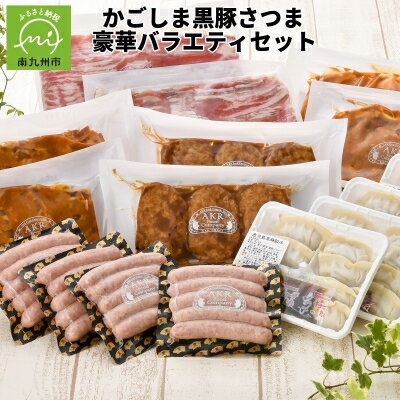 【ふるさと納税】かごしま黒豚さつま豪華バラエティセット【配送不可地域：離島】【1185799】