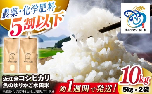 【スピード発送】【令和7年産】コシヒカリ 10kg （5kg×2）近江米  魚のゆりかご水田米 滋賀県長浜市/阿辻農園 [AQAW012] こしひかり 米 お米 白米 10kg 長浜市産 こめ 精米 お米  食品 ふるさと納税 国産 炊きたて 米ギフト もちもち ブランド米  食卓 美味しい 産地直送 人気 ご飯 ごはん コメ kome
