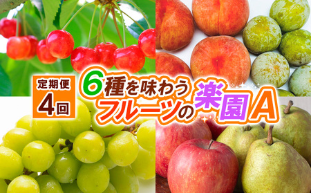 【定期便4回】６種を味わうフルーツの楽園Ａ【令和8年産先行予約】FS25-623 くだもの 果物 フルーツ 山形 山形県 山形市 2026年産