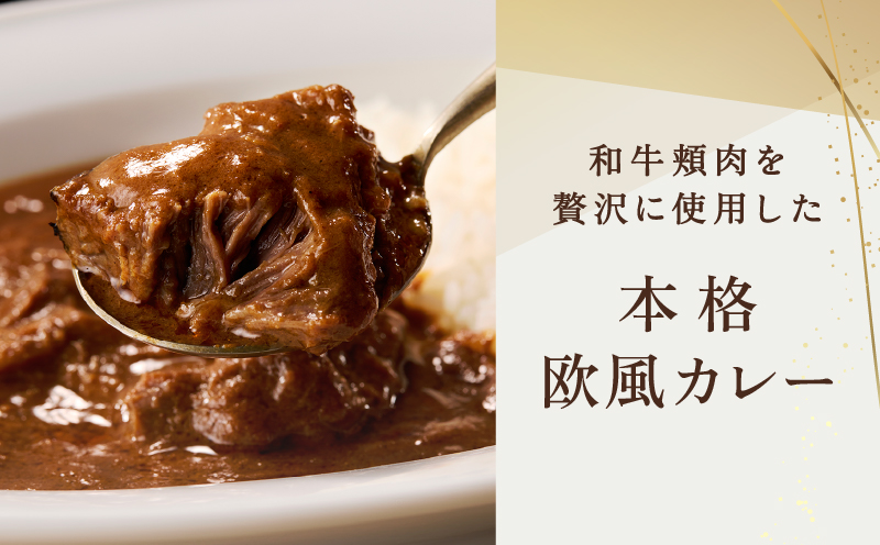【DEGUSTATION】フレンチレストランが作る「和牛頬肉カレー」4点セット【レトルト カレー レトルトカレー レトルト食品 パウチ 冷凍 自宅用 フレンチ 和牛 頬肉 本格的 ギフト おかず 贅沢 プレゼント 贈り物 】