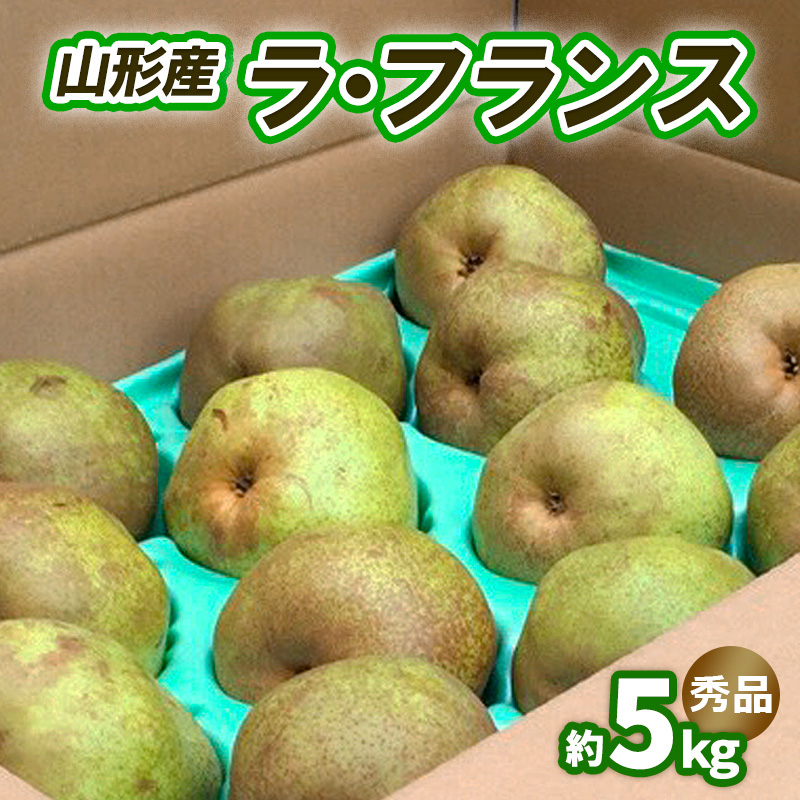 ラ・フランス 約5kg 秀品 (10～16玉) 3L～6L [11月発送] FY25-831