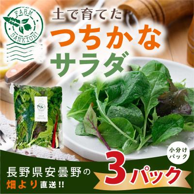 ふるさと納税 長野県 【農家直送便】サラダ野菜のおまかせ詰め合わせ　3パック(1パックに10〜15品種)