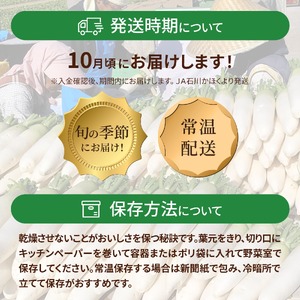 ＜2026年収穫分 先行予約＞大崎だいこん 1箱 10kg |野菜 10キロ だいこん
